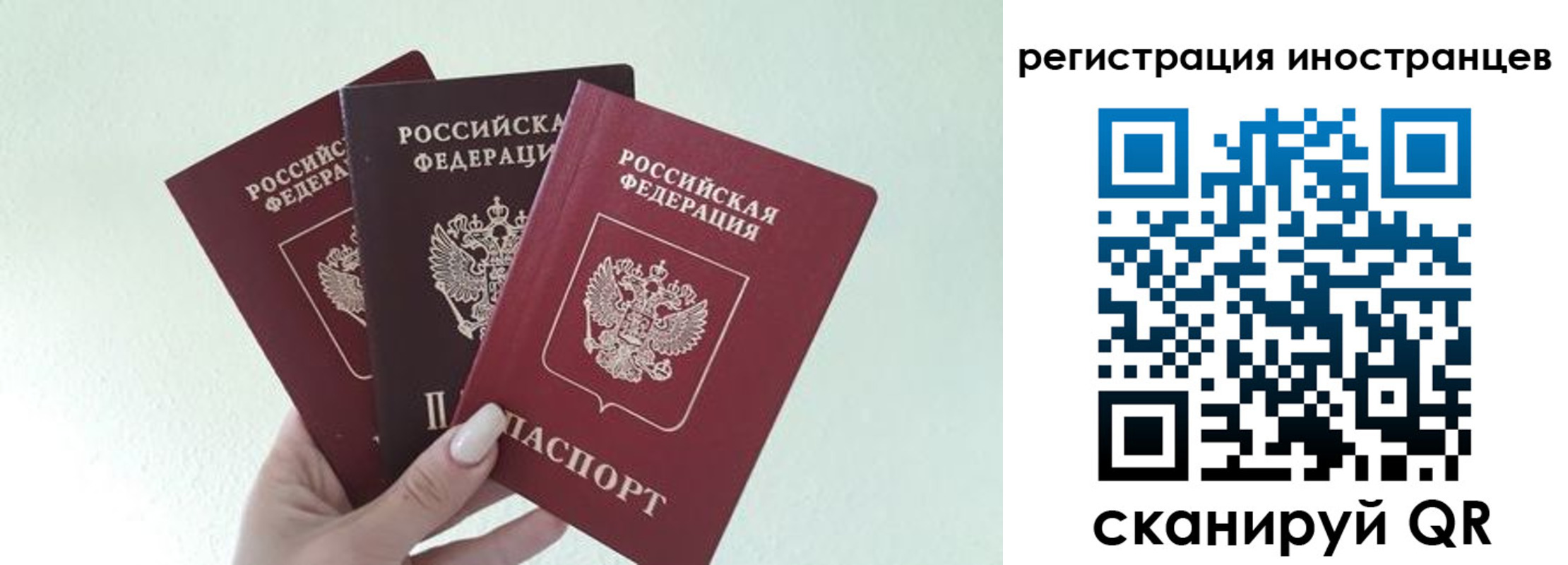 миграционный учет в Ершове